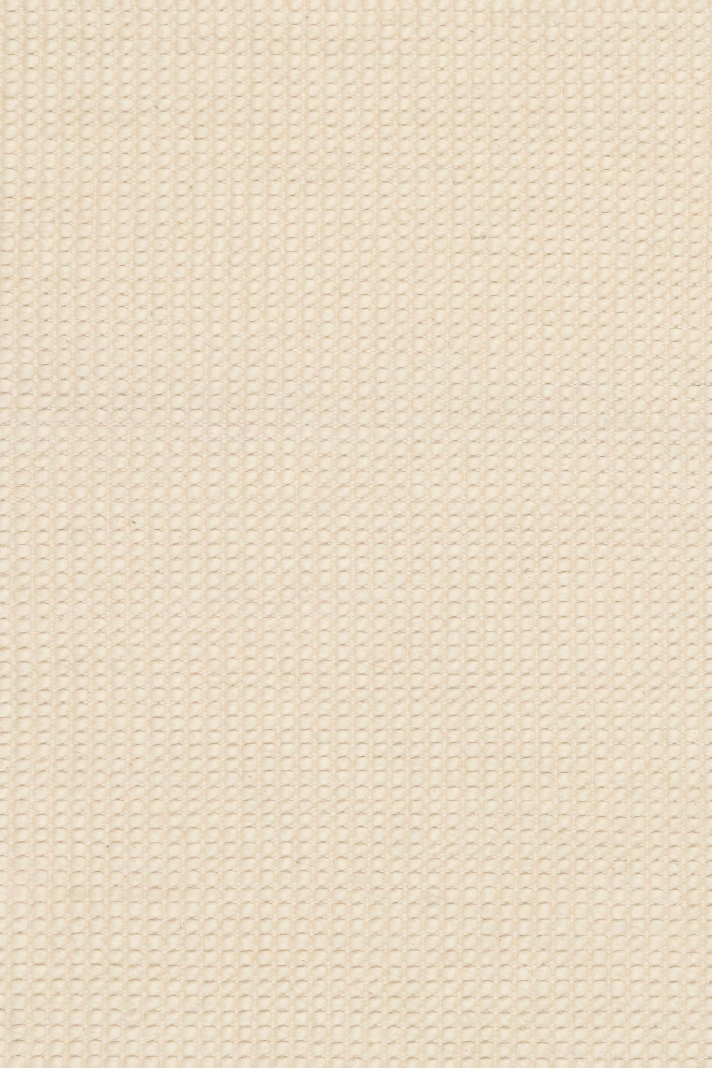 Dasha Cream