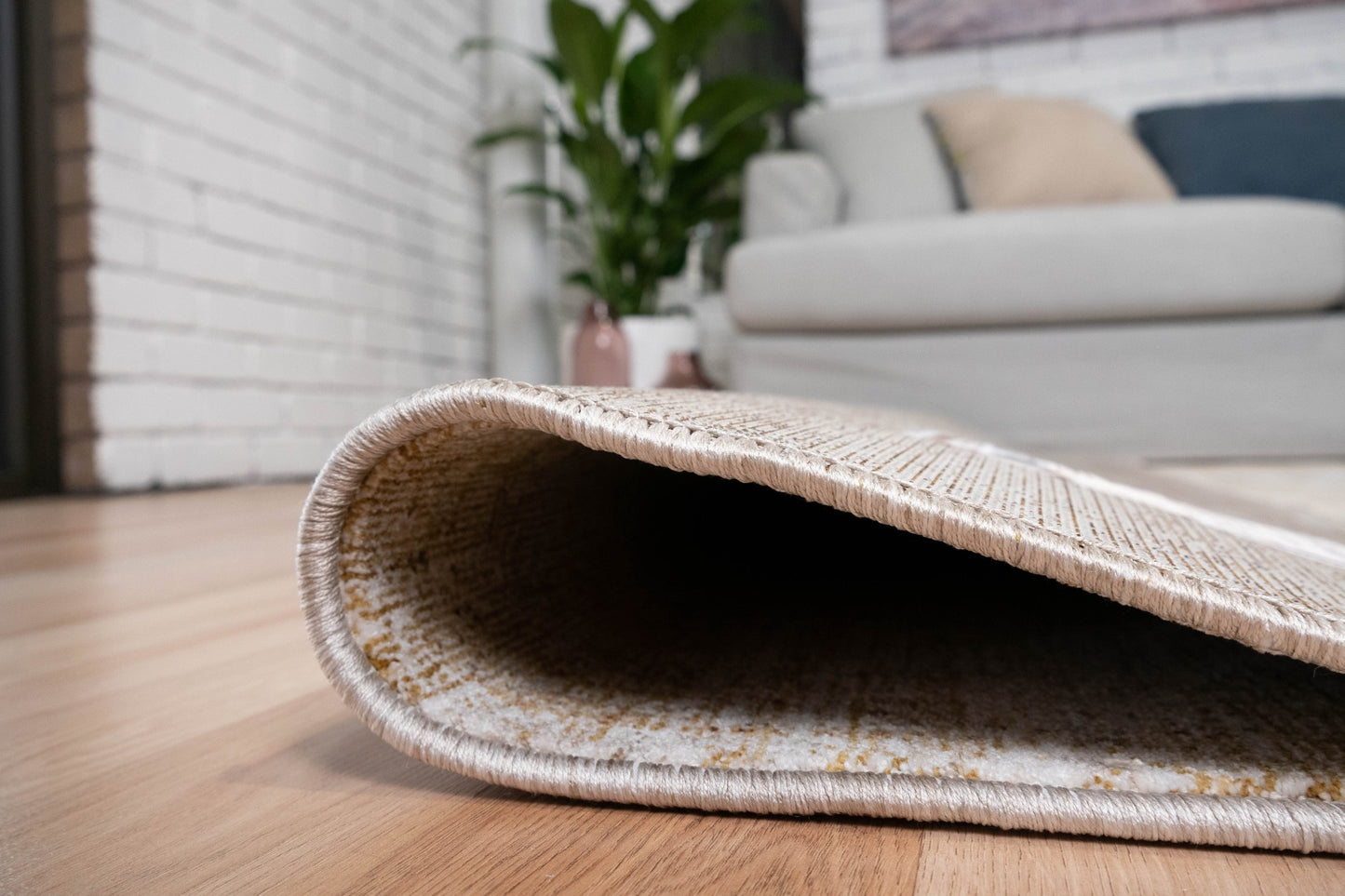 Matana 536 Barley